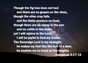 Night sky with stars and a silhouetted foreground of two hikers; white overlay text from Habakkuk 3:17–19 about rejoicing in the Lord and finding strength in Him.