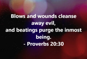Proverb 20:30 quote: 'Blows and wounds cleanse away evil, and beatings purge the inmost being.' White text on a colorful bokeh background.