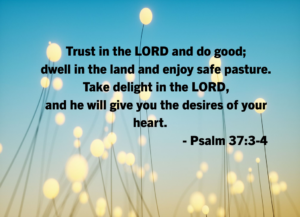 Psalm 37:3-4: 'Trust in the LORD and do good; dwell in the land... take delight in the LORD' over a blue sky with soft yellow bokeh lights taking the foreground.