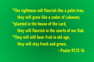 Psalm 9212-15 | Fountain of Life