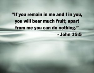 John 155 | Fountain of Life Bible verse quote on a soft, blurred water background: “If you remain in me and I in you, you will bear much fruit; apart from me you can do nothing.” — John 15:5
